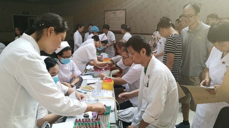 团检电子报告查询：揭秘报告背后的秘密